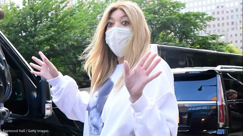 Wendy Williams sparks concern after missing doctor visits