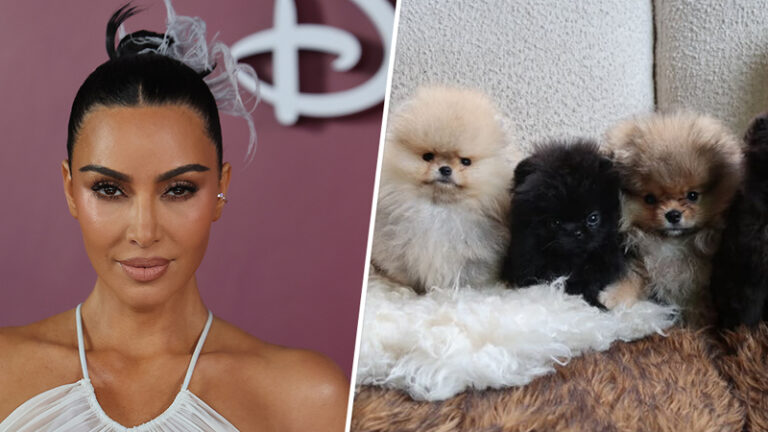 Kim Kardashian called out by PETA